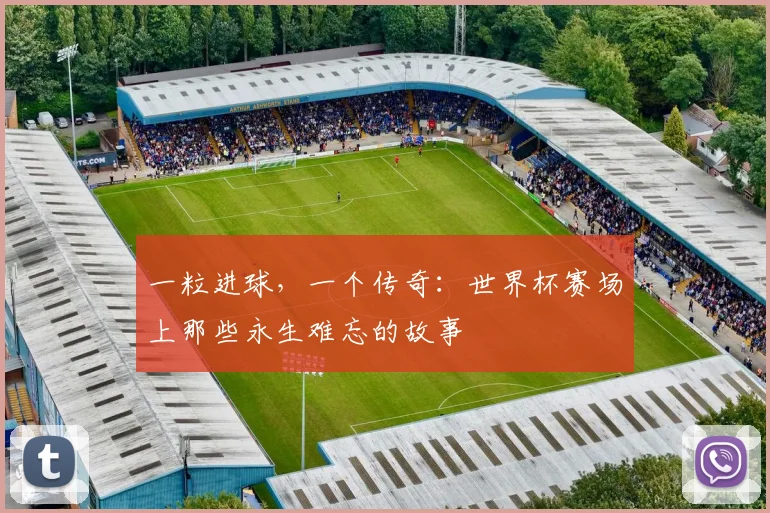 一粒进球，一个传奇：世界杯赛场上那些永生难忘的故事